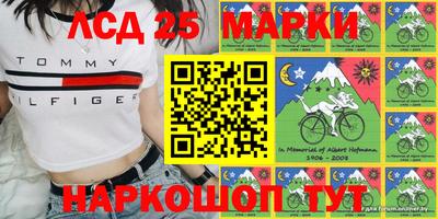 альфа пвп Новодвинск
