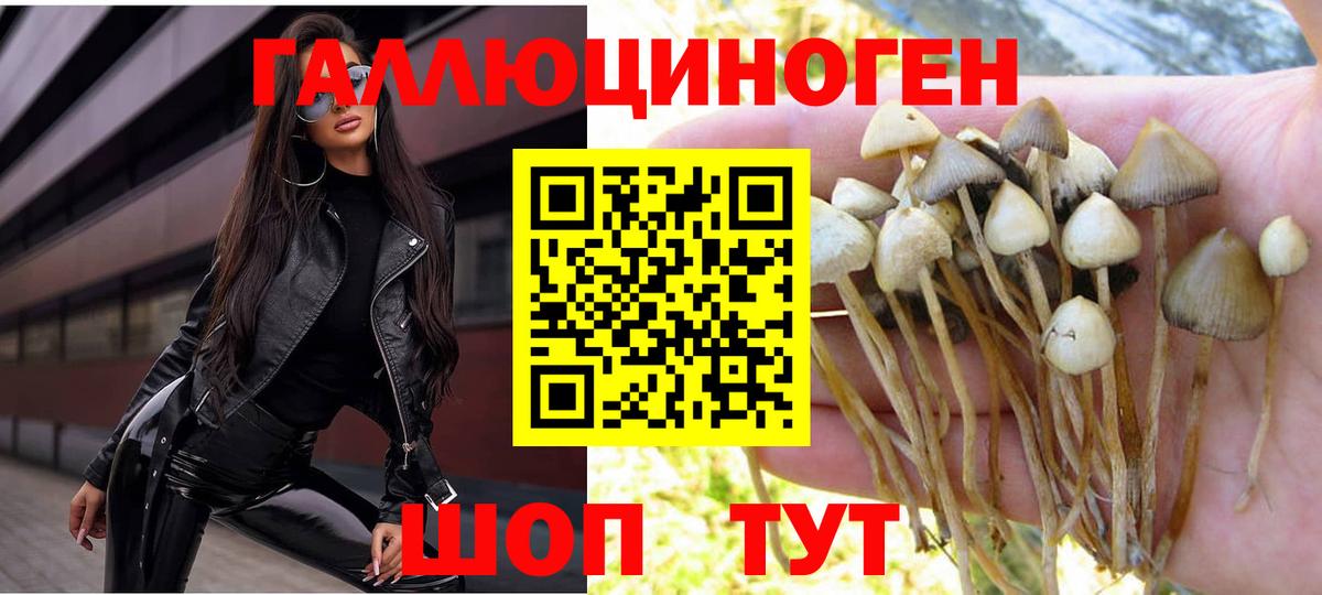 Псилоцибиновые грибы прущие грибы Саранск